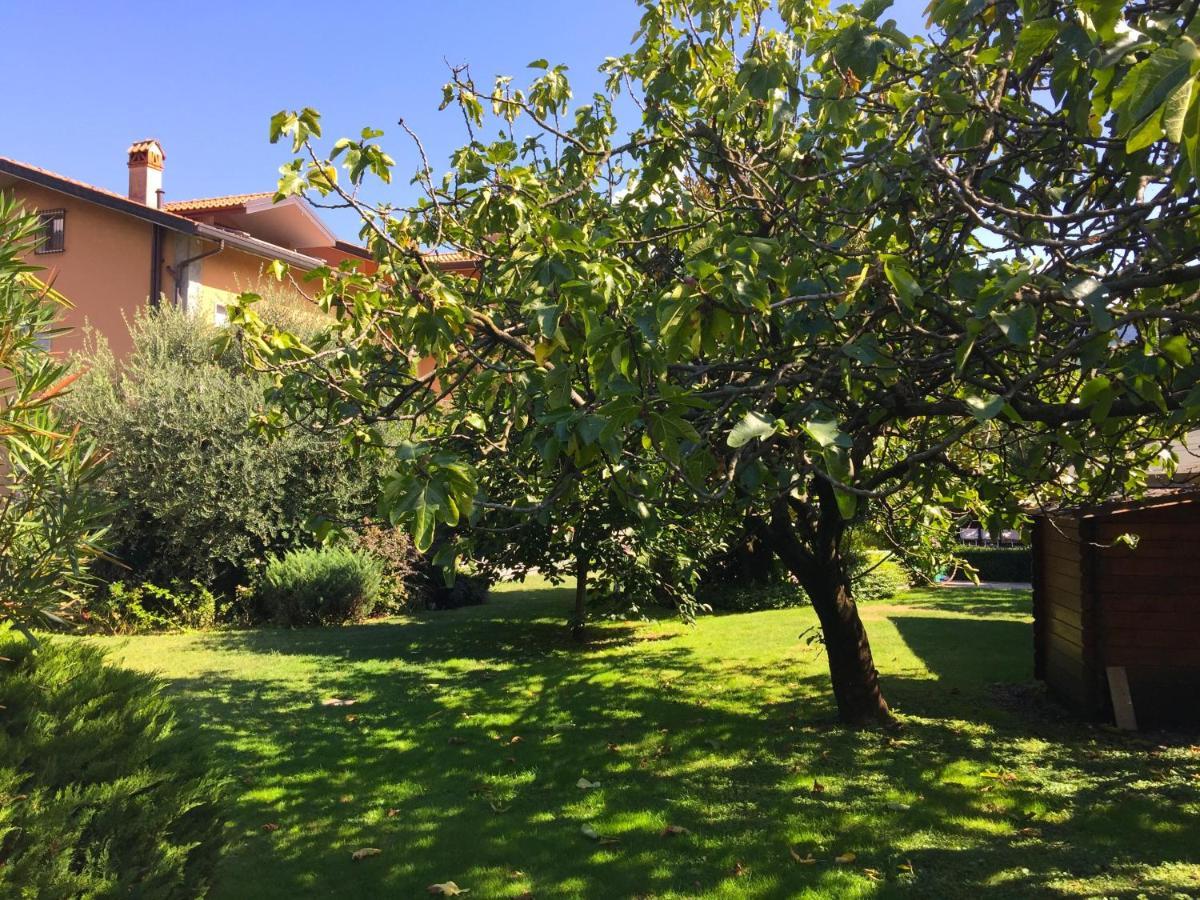 Abies Lago Di Como 东戈 外观 照片