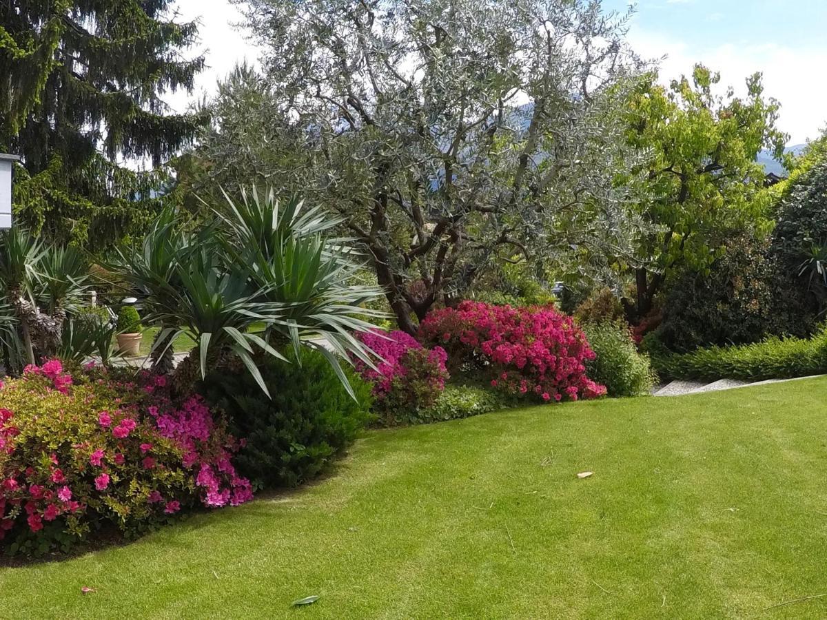 Abies Lago Di Como 东戈 外观 照片