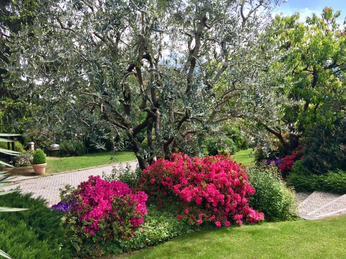 Abies Lago Di Como 东戈 外观 照片