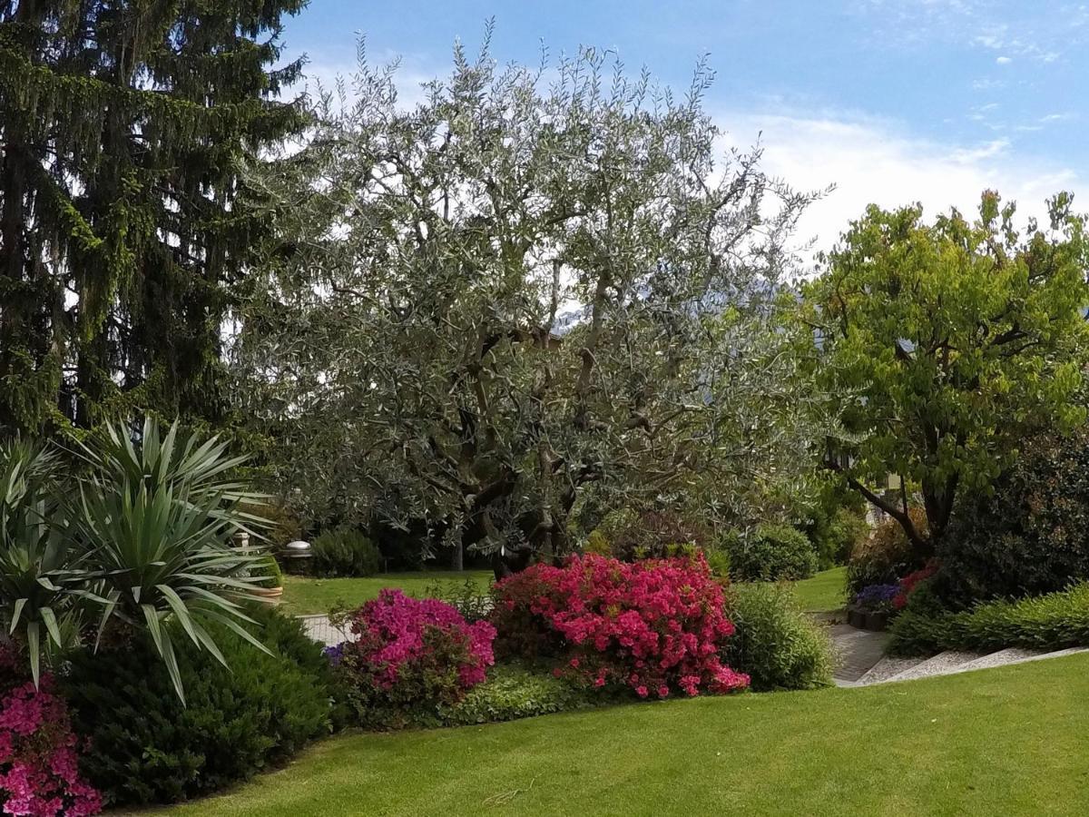 Abies Lago Di Como 东戈 外观 照片