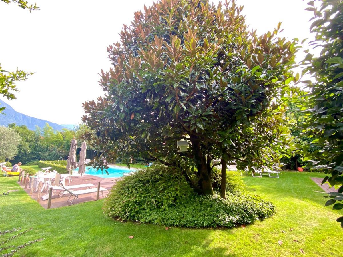 Abies Lago Di Como 东戈 外观 照片
